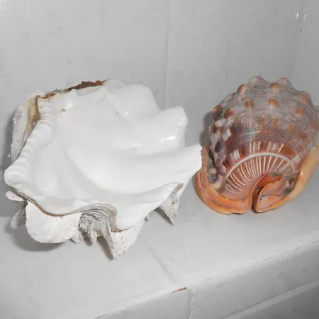 Ferienhaus Natascia *