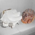 度假居 Natascia *